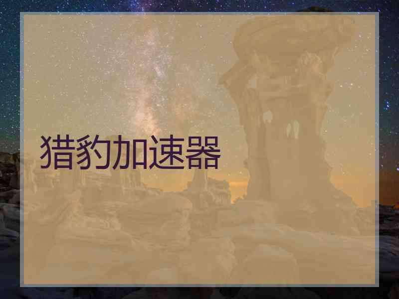 猎豹加速器 猎豹加速器